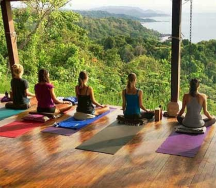 Wellness Group Yoga Experience